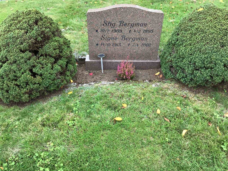 Grave number: 20 N   251-252