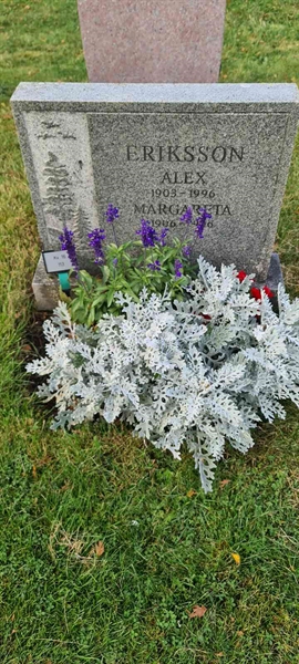 Grave number: M 16  113