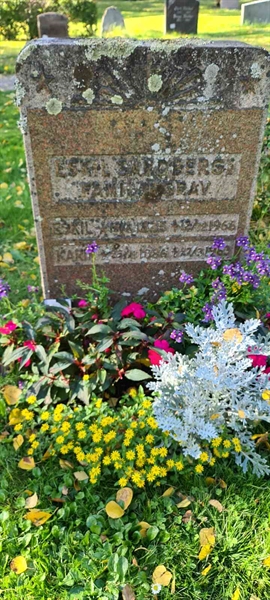 Grave number: M D   35, 36