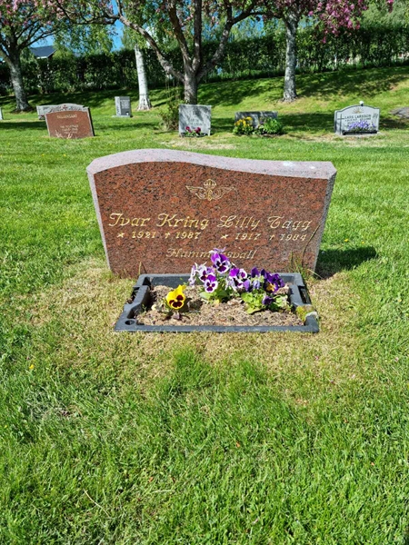 Grave number: D N 4  1081-1082