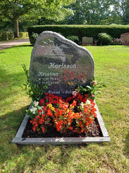 Gravnummer: ÖB 29     1