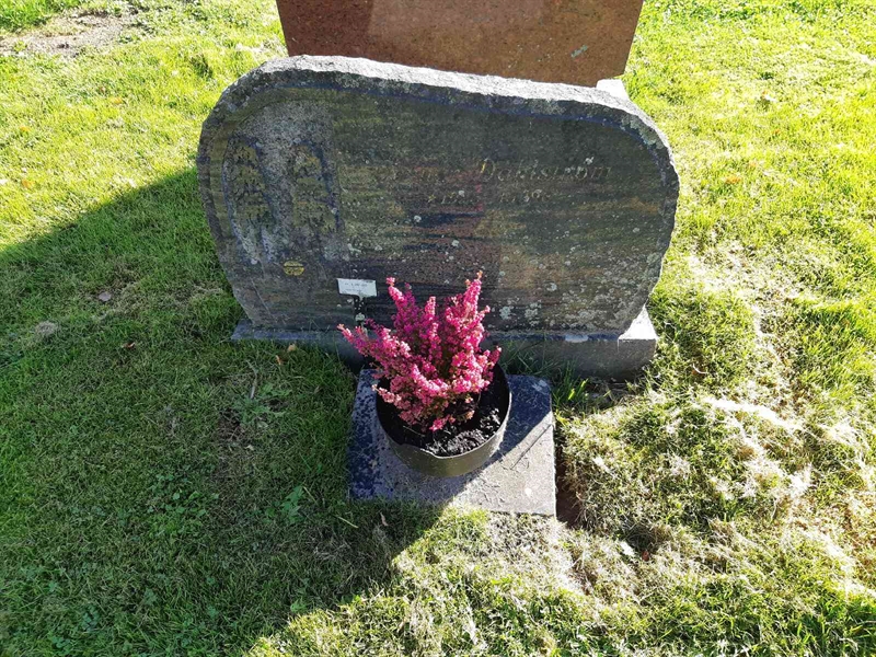 Hautatunnus: Fr 8   202-203