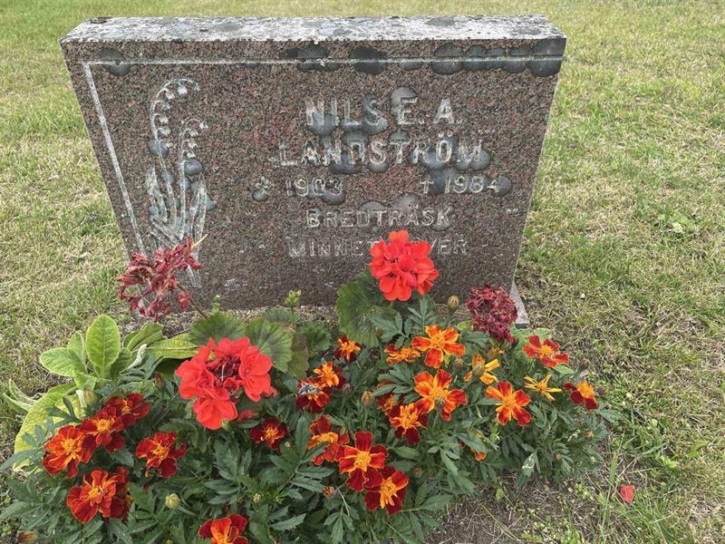 Grave number: 001 1   407