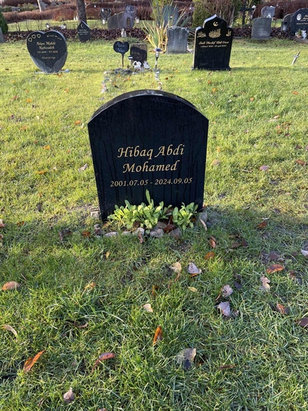 Hautatunnus: 1 H1    30