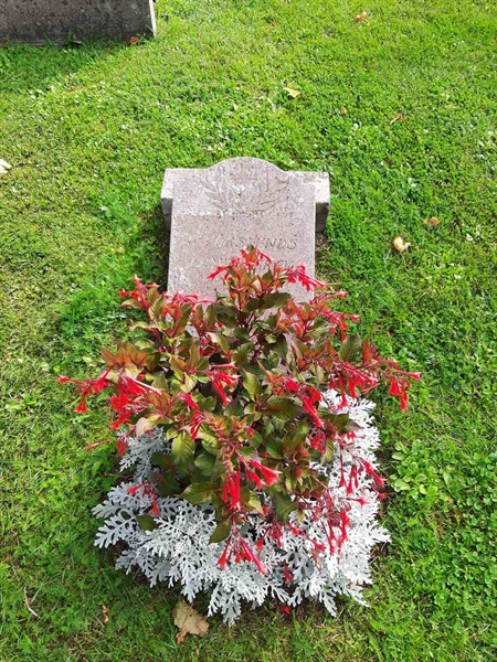 Grave number: 3 01   70