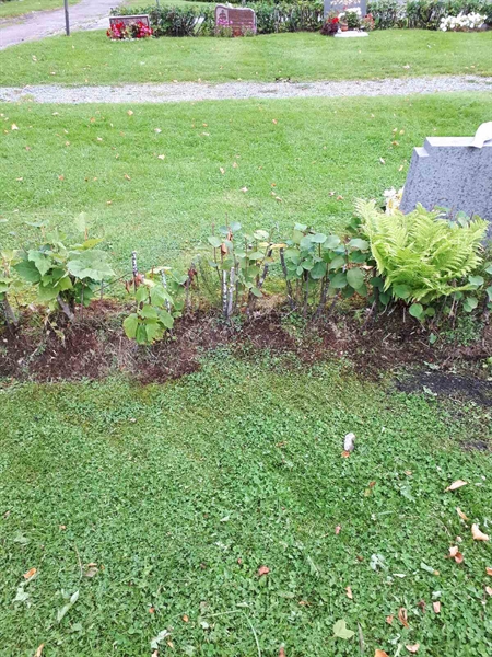 Hautatunnus: NK F A    40