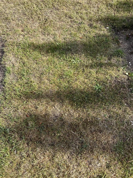 Grave number: NK XX:u    58