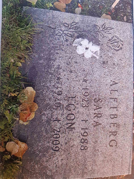 Grave number: 1 J   213