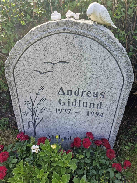 Grave number: AK D  6555