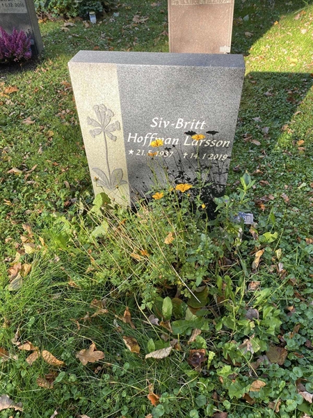 Grave number: 1 H   469