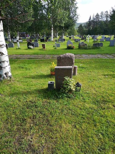 Hautatunnus: NK 17    43