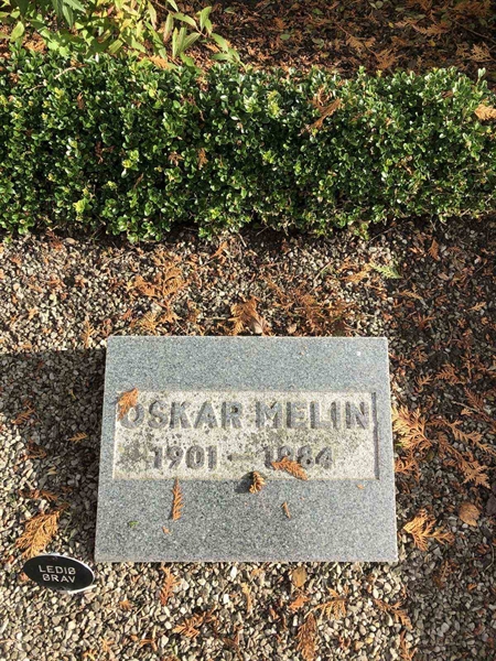 Grave number: TK G   202