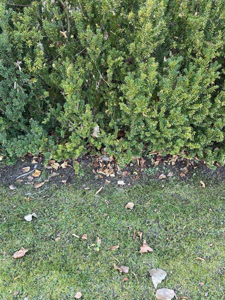 Gravnummer: GK A 3   630