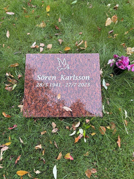 Grave number: NK 04    29