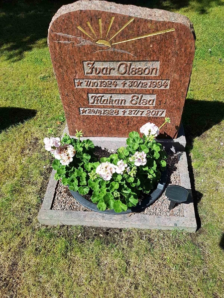 Grave number: 01  2217