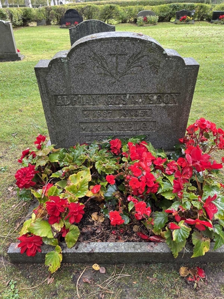 Grave number: 3 11  1611
