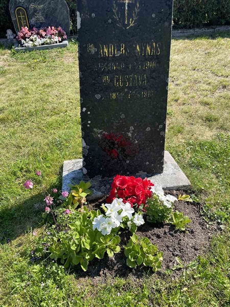 Hautatunnus: N 5 1    10