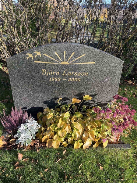 Gravnummer: 3084 J    73-74