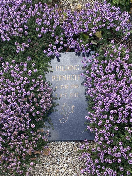 Grave number: LG G     3B
