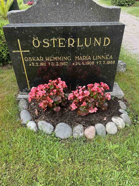 Gravnummer: N 4 3   353