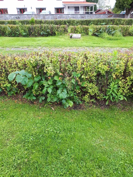 Hautatunnus: NK F G   171