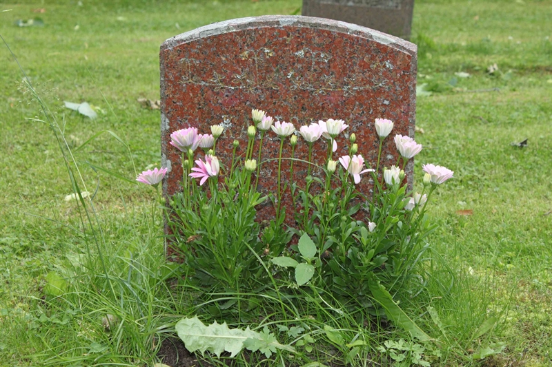 Grave number: GK MAGDA   108