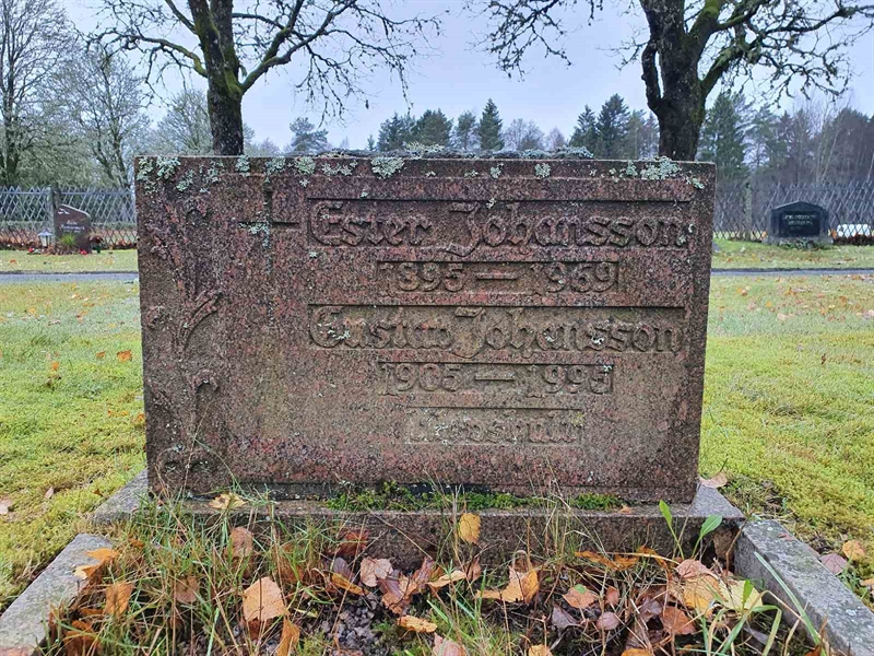 Grave number: Å N   203