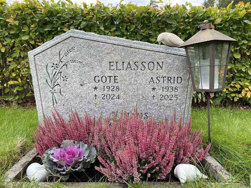 Hautatunnus: 1 19    217, 218, 219