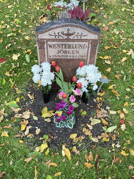 Grave number: 1 H   250