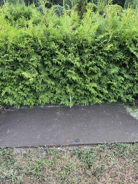 Grave number: NK XIV    66