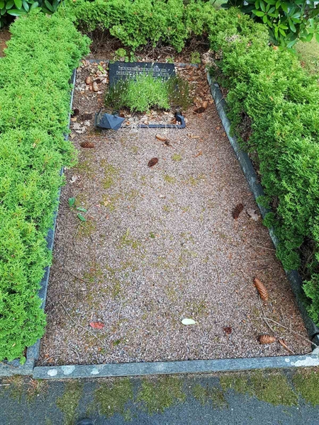 Grave number: 01   539