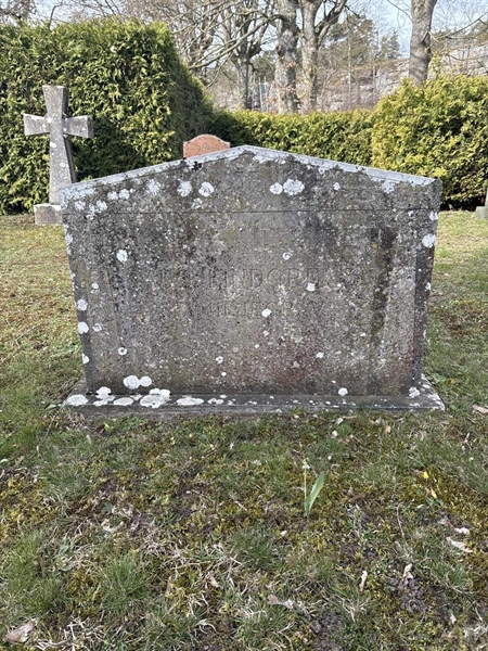 Grave number: LI 41