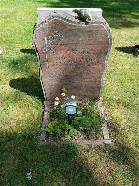 Grave number: 01 11049