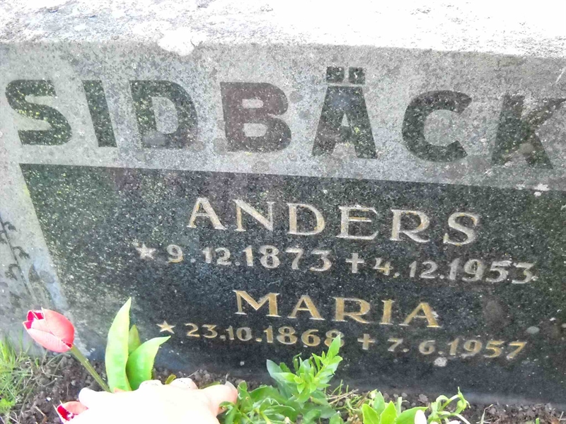 Grave number: 3 MB 17 3-4