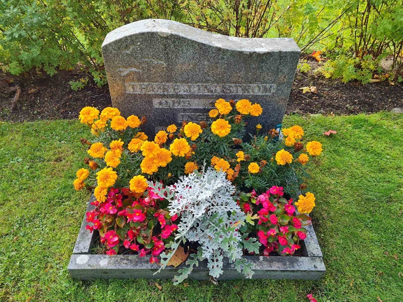 Grave number: Ö I  227