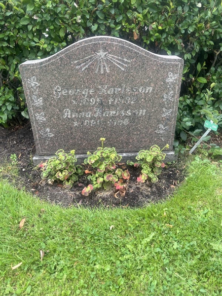 Grave number: 1 1 G   209