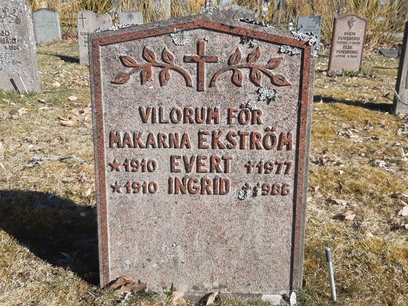 Grave number: NO 07    45