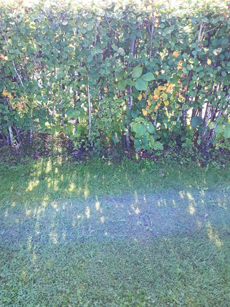 Grave number: NK F G   282