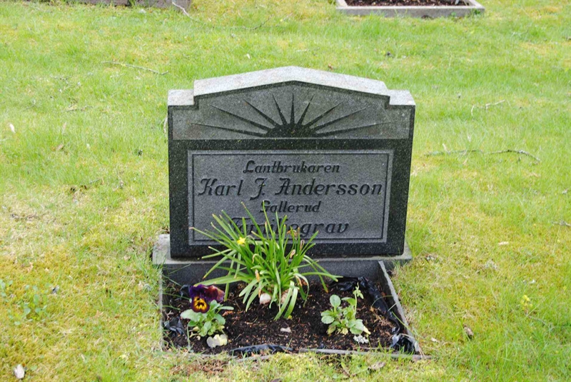 Grave number: 1 05    49