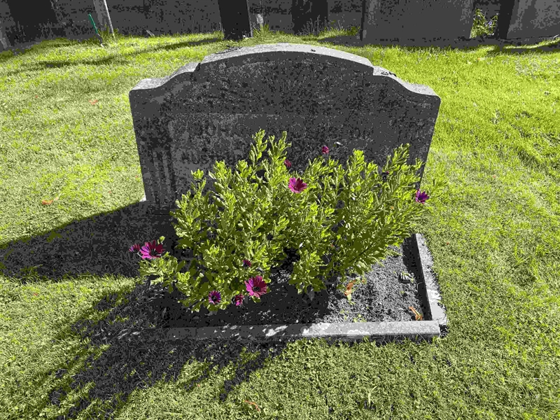 Grave number: 1 08    87