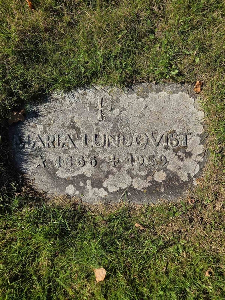 Grave number: T A D   782