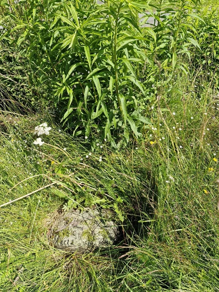 Hautatunnus: 1 VALLF 14