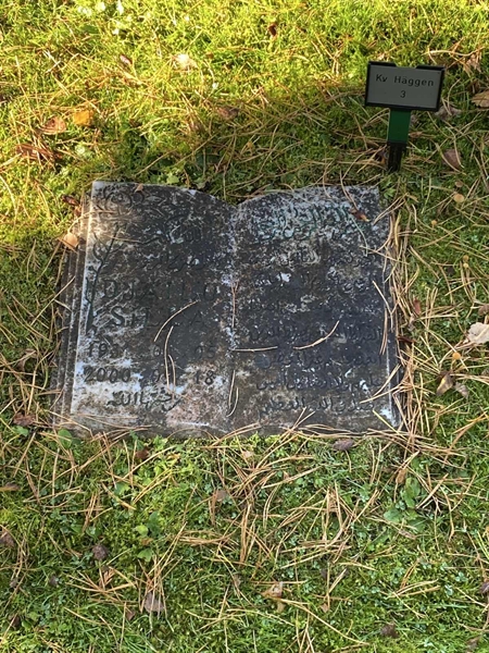 Grave number: 2 H     3