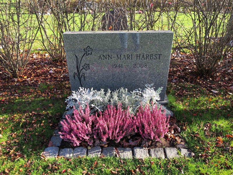 Grave number: HNB III    75