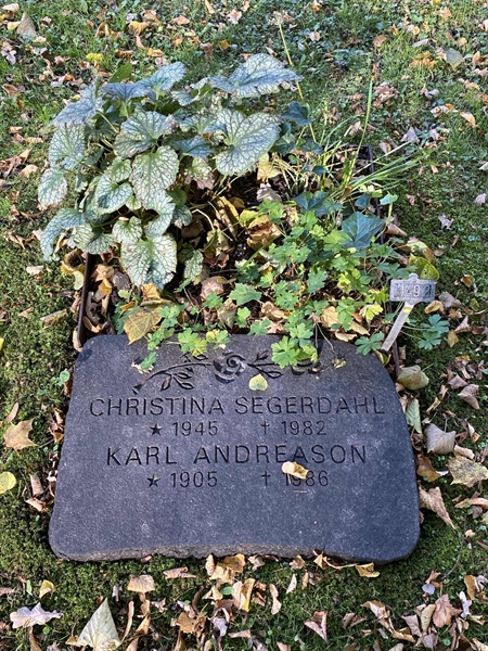 Hautatunnus: 1 H   492