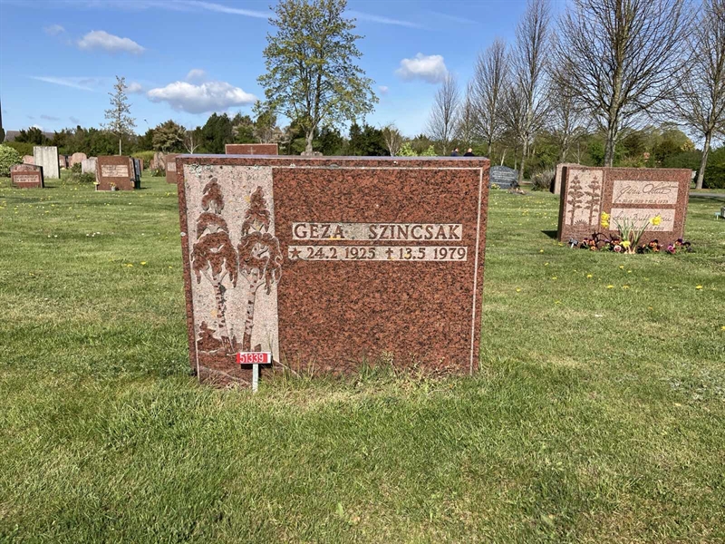 Grave number: R 01 460, 461