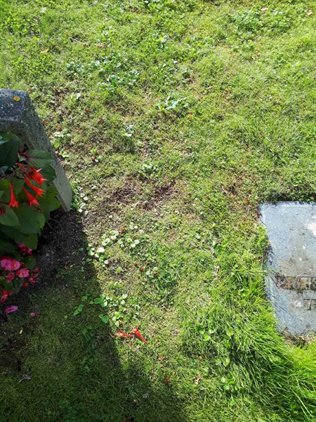 Gravnummer: NK A A   197