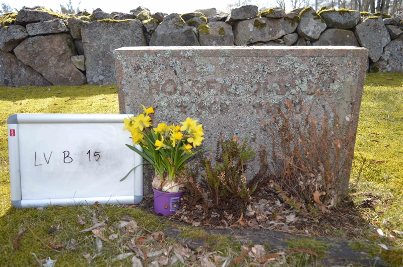 Grave number: LV B    15