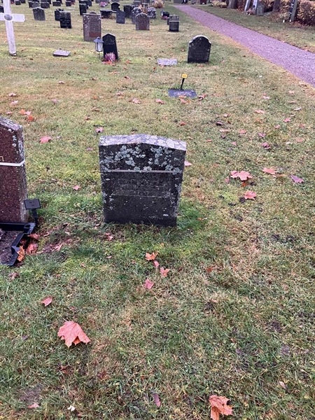 Gravnummer: H 7   142