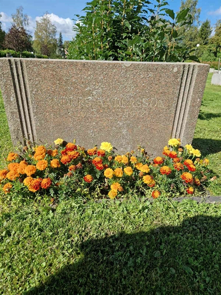 Grave number: 1 19   101